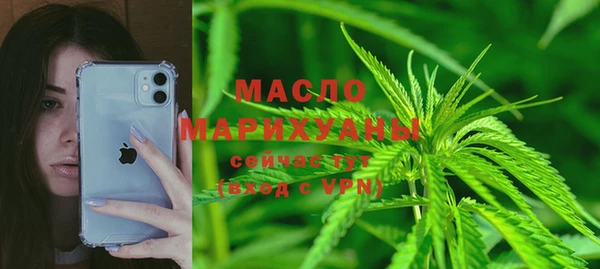 гидра Кулебаки