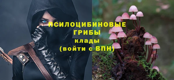 гидра Кулебаки