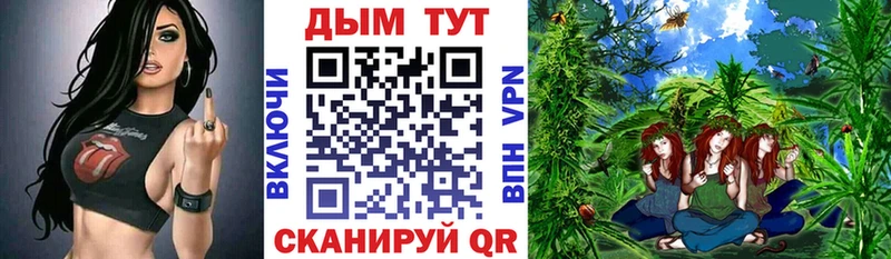 Конопля семена  Купить закладки  Сыктывкар 